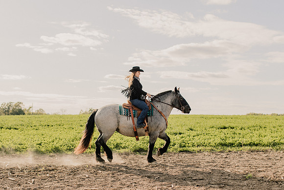 SBL-Horses-2023-1010