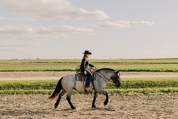 SBL-Horses-2023-1015