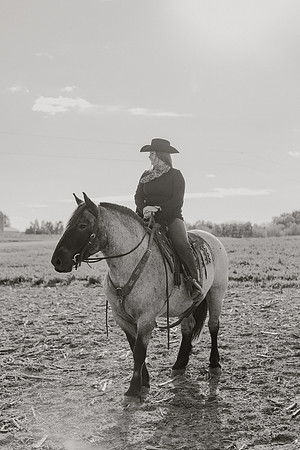 SBL-Horses-2023-1022