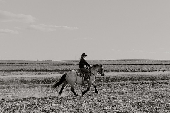 SBL-Horses-2023-1029