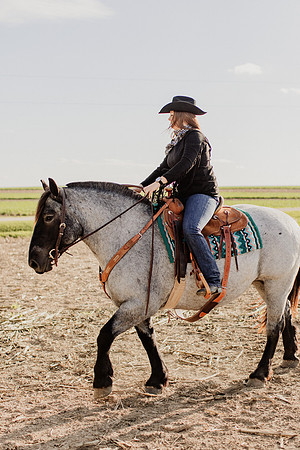 SBL-Horses-2023-1028