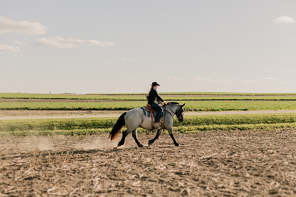 SBL-Horses-2023-1030