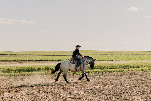 SBL-Horses-2023-1031