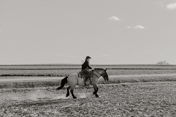 SBL-Horses-2023-1032