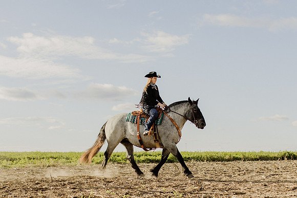 SBL-Horses-2023-1037