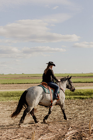 SBL-Horses-2023-1040