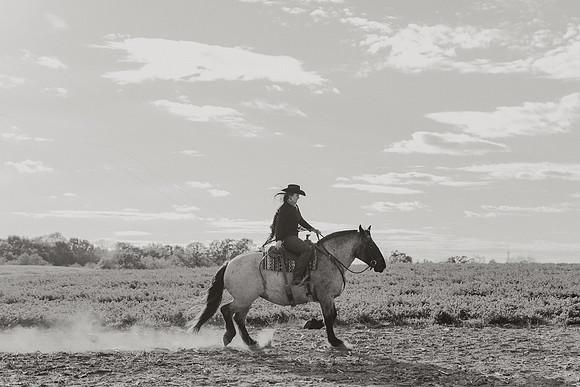 SBL-Horses-2023-1041