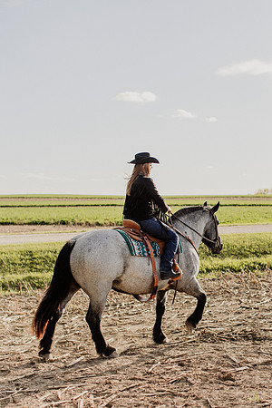 SBL-Horses-2023-1042