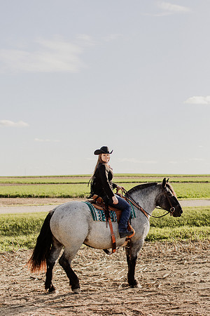 SBL-Horses-2023-1043