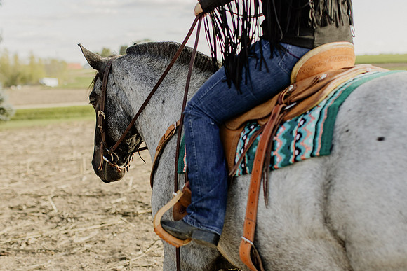 SBL-Horses-2023-1051
