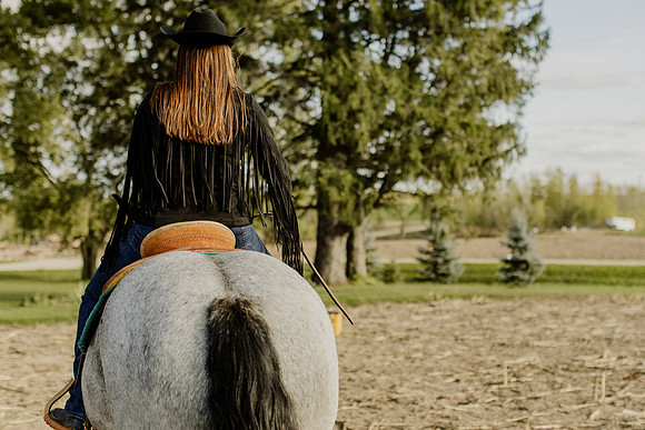 SBL-Horses-2023-1052