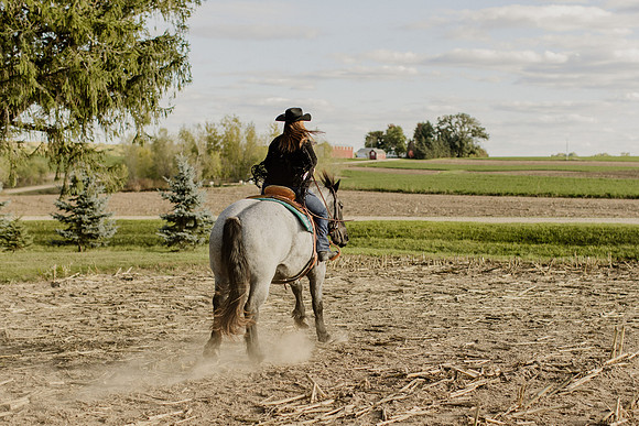 SBL-Horses-2023-1053