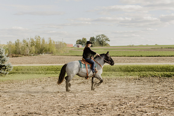 SBL-Horses-2023-1054