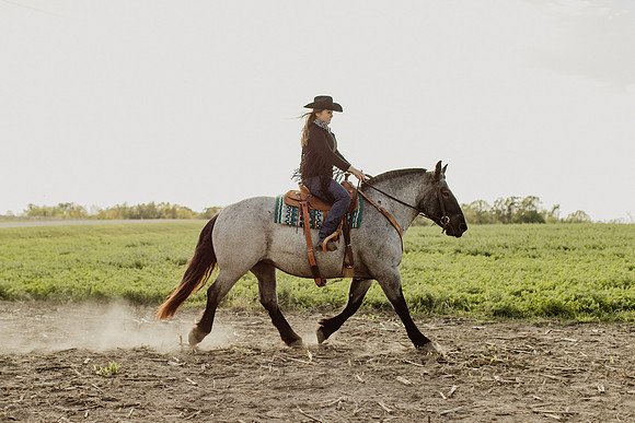 SBL-Horses-2023-1056