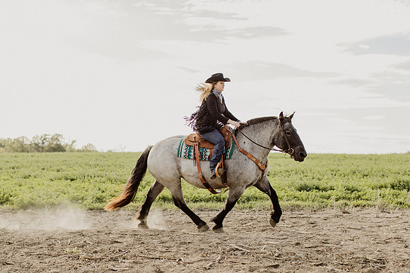 SBL-Horses-2023-1057