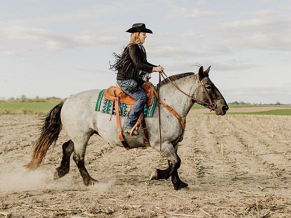 SBL-Horses-2023-1059