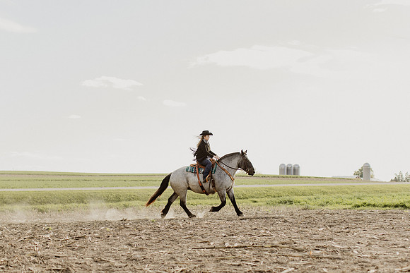SBL-Horses-2023-1061