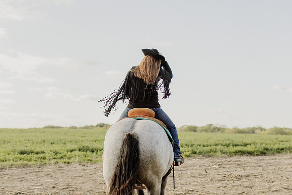 SBL-Horses-2023-1101