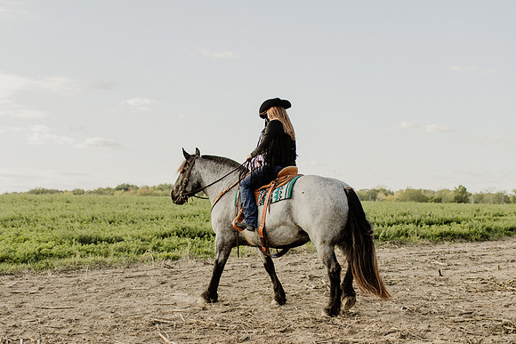 SBL-Horses-2023-1102