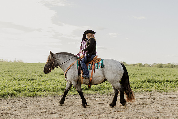 SBL-Horses-2023-1104
