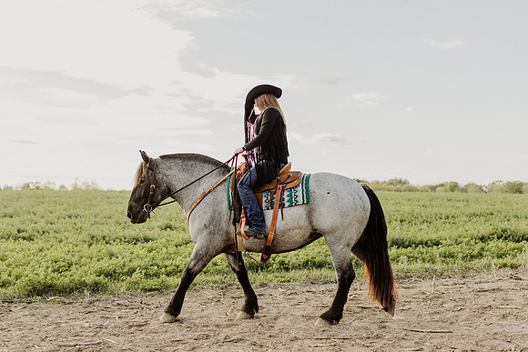 SBL-Horses-2023-1105