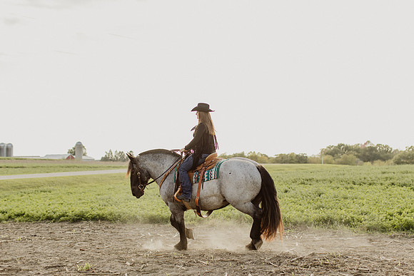 SBL-Horses-2023-1107