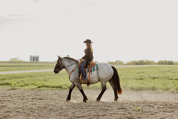 SBL-Horses-2023-1108