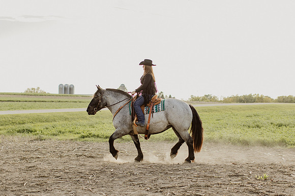 SBL-Horses-2023-1109