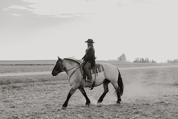 SBL-Horses-2023-1112