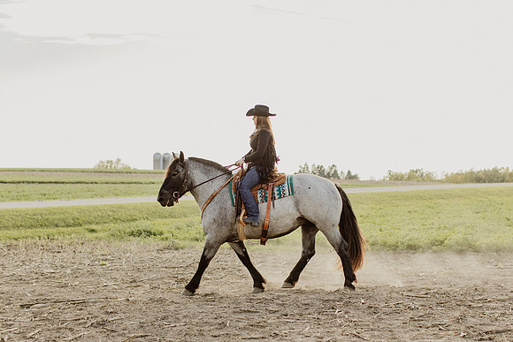 SBL-Horses-2023-1111