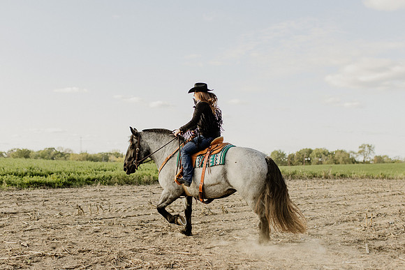 SBL-Horses-2023-1114