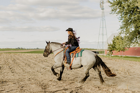 SBL-Horses-2023-1116