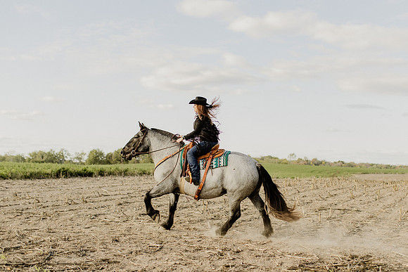 SBL-Horses-2023-1117