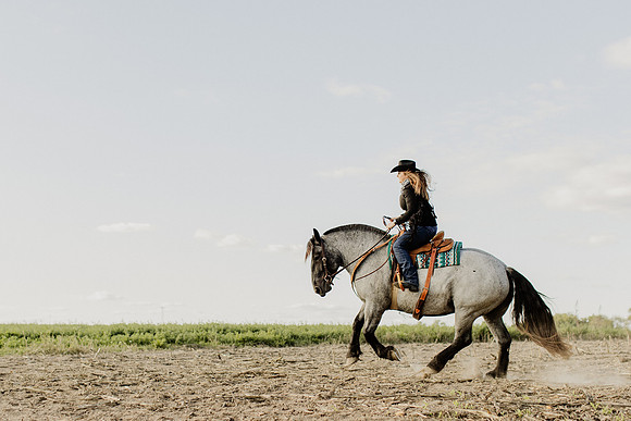 SBL-Horses-2023-1118