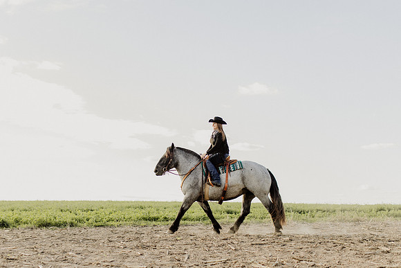 SBL-Horses-2023-1119