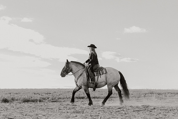 SBL-Horses-2023-1120