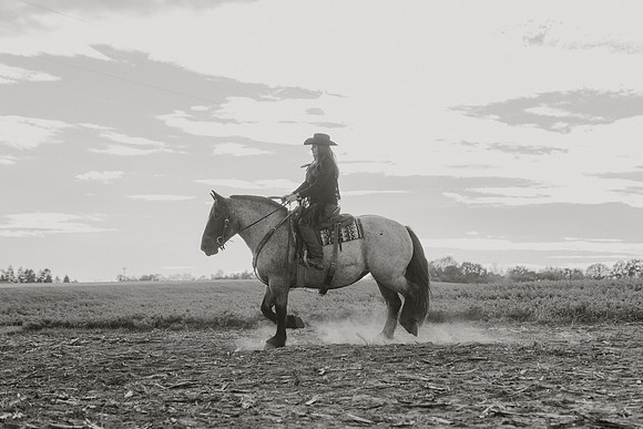 SBL-Horses-2023-1121