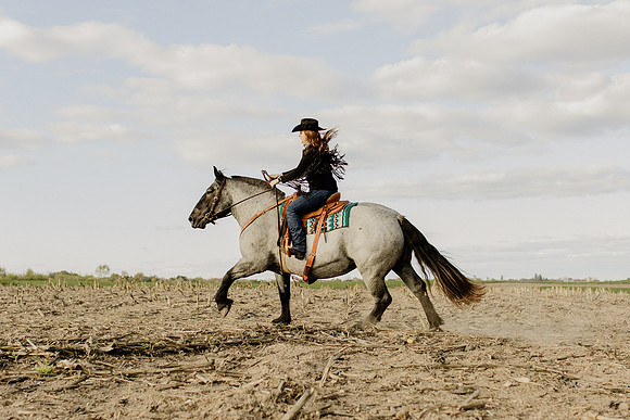 SBL-Horses-2023-1123