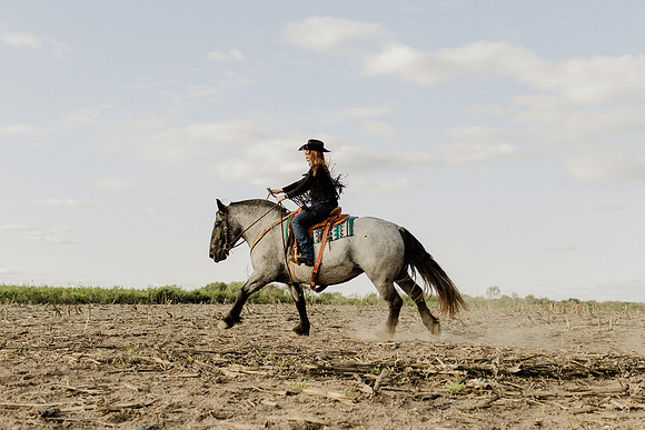 SBL-Horses-2023-1124