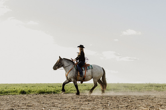 SBL-Horses-2023-1125