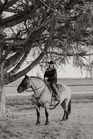 SBL-Horses-2023-1126