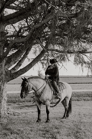SBL-Horses-2023-1128