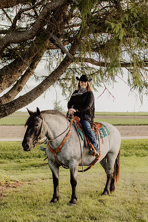 SBL-Horses-2023-1129