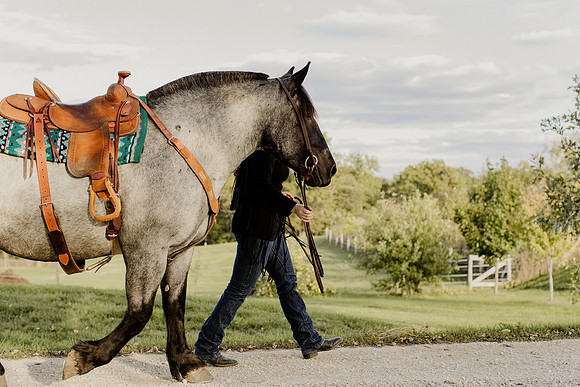 SBL-Horses-2023-1135
