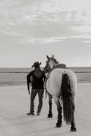 SBL-Horses-2023-1137