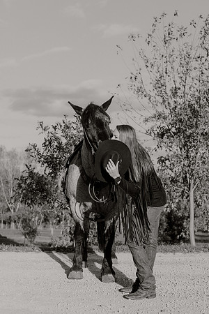 SBL-Horses-2023-1153
