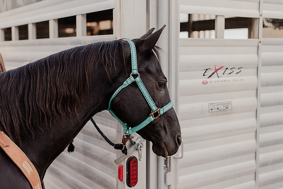 SBL-Horses-2023-1175