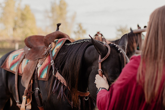 SBL-Horses-2023-1176