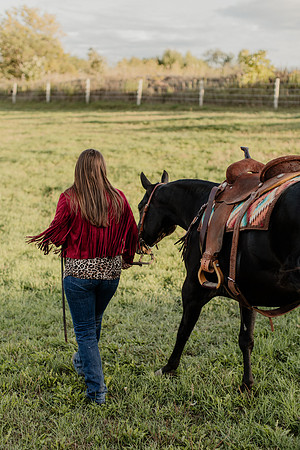 SBL-Horses-2023-1177