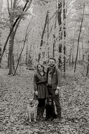 SJ-Engagement-1036